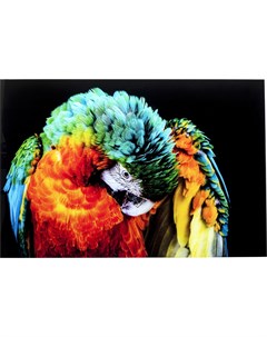 Картина parrot мультиколор 120x80 см Kare
