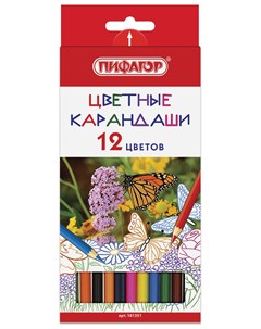 Карандаши цветные Бабочки 12 цветов классические заточенные 181351 Пифагор