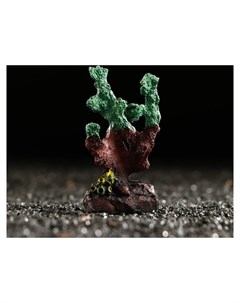 Декоративный коралл Синулярия мини 6 х 3 5 х 8 5 см зелёный Nnb