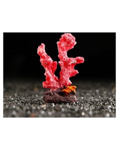 Декоративный коралл Синулярия мини 6 х 3 5 х 8 5 см красный Nnb