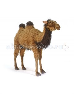 Интерактивная игрушка Верблюд 110 см Hansa