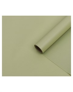 Бумага тишью с ламинацией цвет зеленый бамбук 58 см х 5 м 75 микрон Nnb