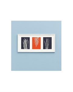Картина с оттисками папоротника и аулалии оранжевый 52x25 см Wowbotanica