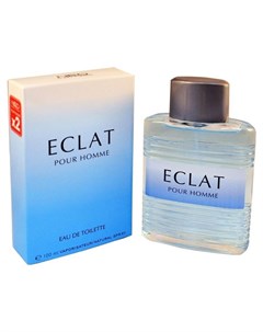 Туалетная вода мужская Eclat Pour Homme Объем 100 мл Neo parfum