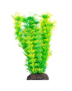 LAGUNA Растение для аквариума Амбулия жёлто зеленая Триол