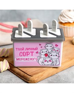 Формочки для мороженого Foodvibes
