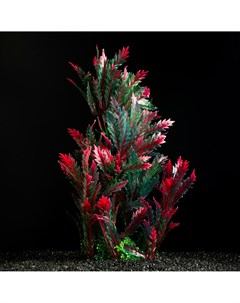 Растение искусственное аквариумное 28 см красно зелёное Пижон аква