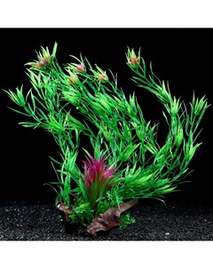 Растение искусственное аквариумное на платформе в виде коряги 40 см зелёное Пижон аква
