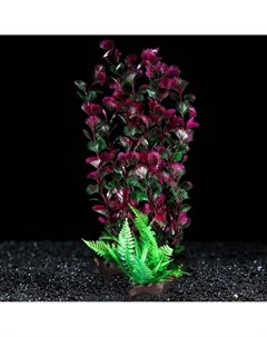 Растение искусственное аквариумное на платформе в виде коряги 40 см красно зелёное Пижон аква
