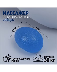 Массажёр реабилитационный 30 кг 5 8 4 2 см цвет синий Onlitop