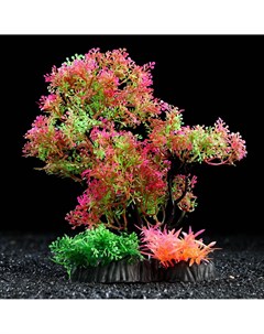 Растение искусственное аквариумное 25 см розово зелёное Пижон аква