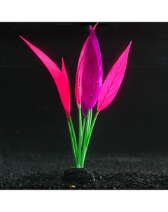 Растение силиконовое аквариумное светящееся в темноте 12 х 20 см розово фиолетовое Nobrand