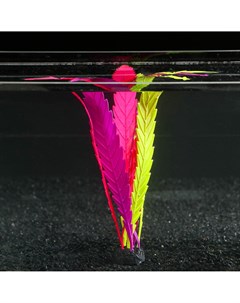 Растение силиконовое аквариумное светящееся в темноте 8 х 9 х 10 5 см цветное Nobrand