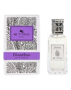 Dianthus Etro