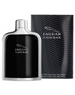 Classic Black Jaguar
