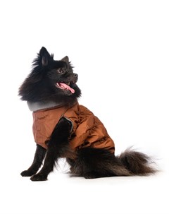 Куртка на молнии для собак 2XL унисекс Rurri