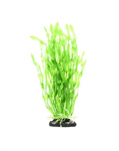 Растение куст зеленое9 5 32см Aquafantasy