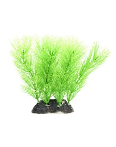 Растение зеленое 6 5 10см Aquafantasy
