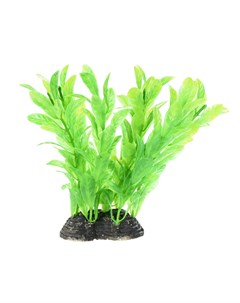 Растение зеленое с листьями 6 5 10см Aquafantasy
