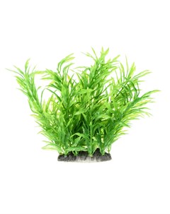 Растение зеленое 10 8 15см Aquafantasy