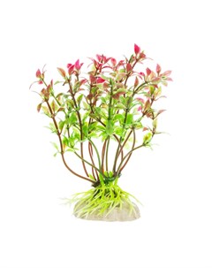 Растение красно зеленое 10см Aquafantasy