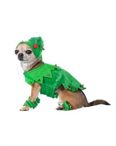Костюм с шапкой для собак Christmas елочка XS зеленый унисекс Rurri