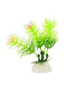 Растение зеленое с цветками 8см Aquafantasy