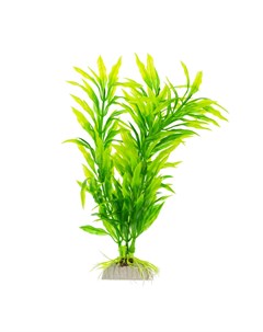 Растение с листьями зеленое 20см Aquafantasy