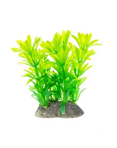 Растение зеленое 6 5 10см Aquafantasy