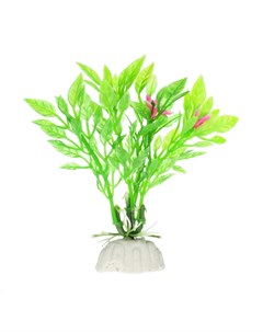 Растение зеленое с цветочками 8см Aquafantasy