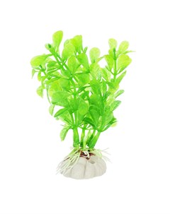 Растение зеленое с листьями 10см Aquafantasy