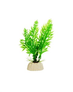 Растение зеленое без цветов 8см Aquafantasy