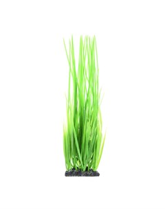 Растение куст трава зеленое 10 8 40см Aquafantasy