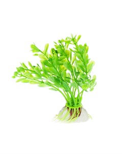 Растение зеленое 8см Aquafantasy