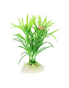 Растение зеленое с цветками 10см Aquafantasy