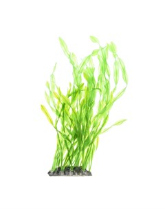 Растение зеленое 10 8 25см Aquafantasy