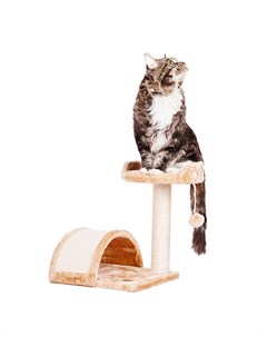 Дом когтеточка Agostino 35x35x43 см с лежанкой и игрушкой для кошек бежевый Petmax