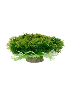 Растение зеленое 10 10 4см 090038B Aquafantasy