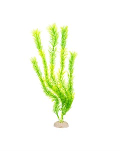 Растение водоросли зеленое 40см Aquafantasy