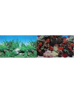 Фон двусторонний для аквариума Кораллы и Растительный 30х60 см Prime