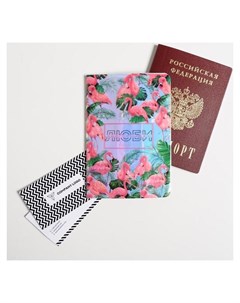 Голографичная паспортная обложка Люби Nnb