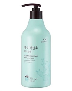 Шампунь с кактусом Jeju Prickly Pear Hair Shampoo Flor de man