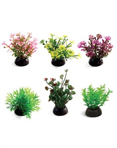 Растения разноцветные набор 6шт 50мм Laguna