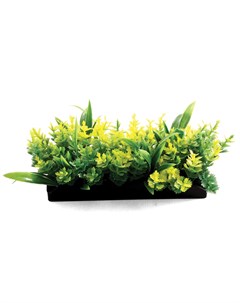 Растения композиция желтая 50мм Laguna