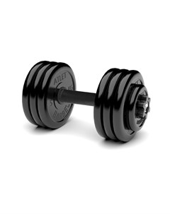 Гантель разборная MB Barbell MB FdbM At34 34кг Barfits