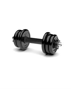 Гантель разборная MB Barbell MB FdbM At11 5 11 5 кг Barfits