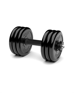 Гантель разборная MB Barbell MB FdbM At31 5 31 5кг Barfits