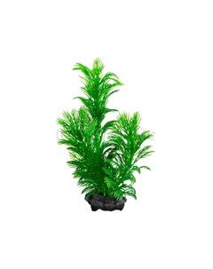 Растение аквариумное Green Cabomba S с утяжелителем Tetra