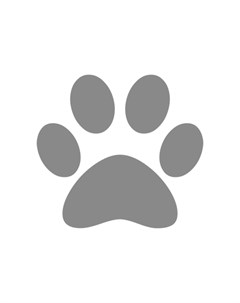 Игрушка Фелин Клин для кошек Конфетка прорезыватель с лентами Резина Feline clean