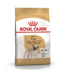 Сухой корм Роял Канин для взрослых собак породы Мопс старше 10 месяцев Royal canin